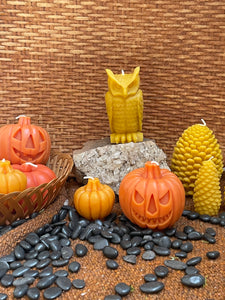 SALE Pumpkin Beeswax Candle (2 sizes)