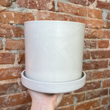 Load image into Gallery viewer, Signature Planter