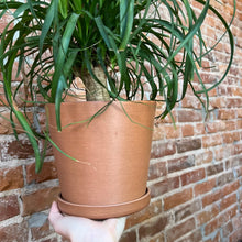 Load image into Gallery viewer, Tapered Planter
