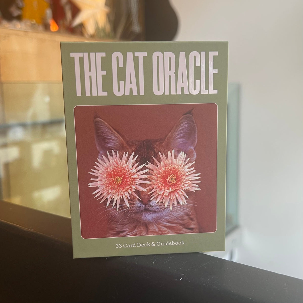 The Cat Oracle Deck – Heim Iowa City