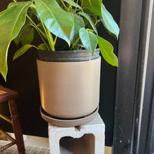 Load image into Gallery viewer, Signature Planter