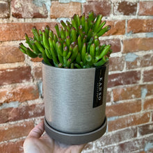 Load image into Gallery viewer, Signature Planter