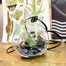 Load image into Gallery viewer, Globe Terrarium + Air Plant