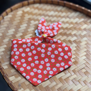Punchy Cat Pet Bandanas