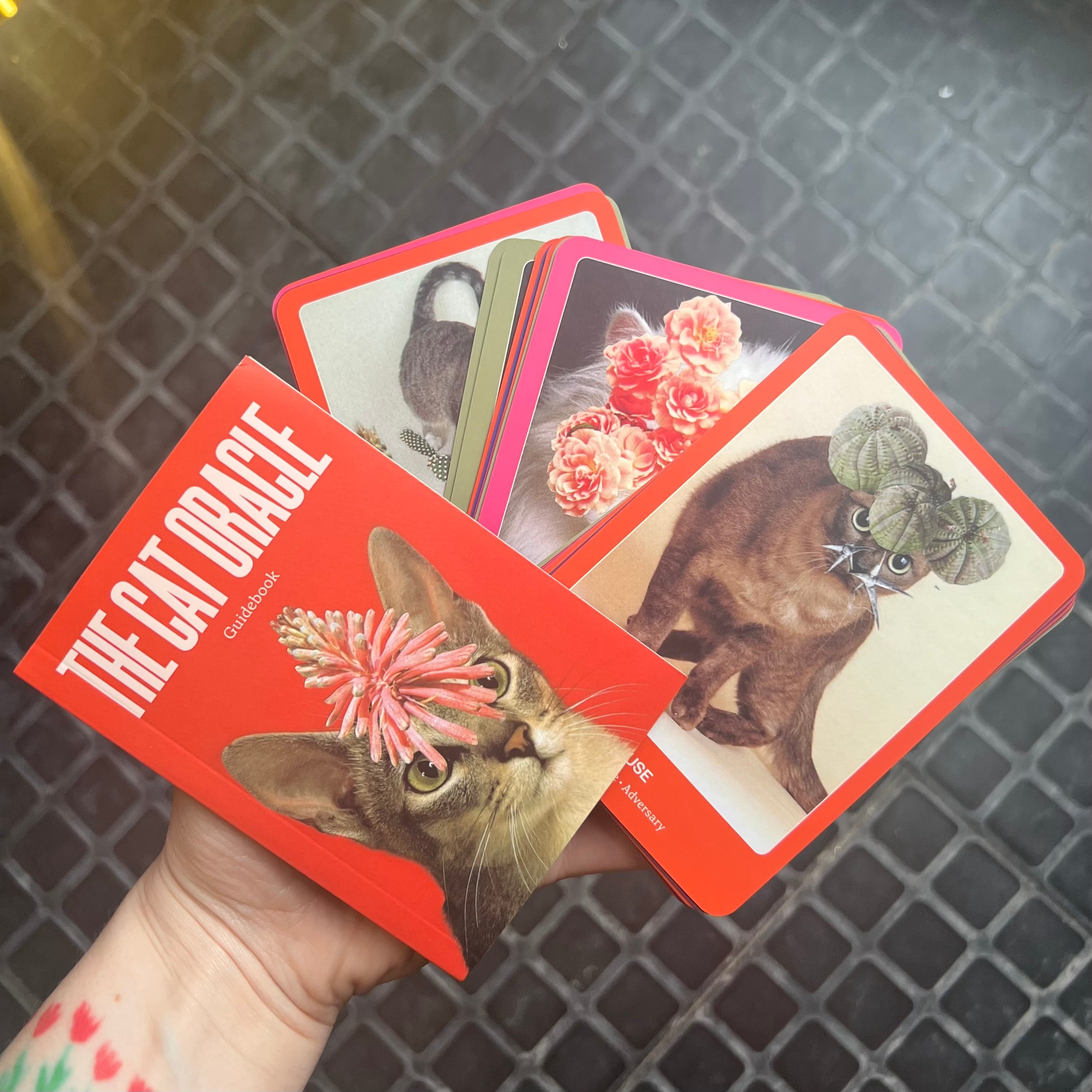 The Cat Oracle Deck – Heim Iowa City