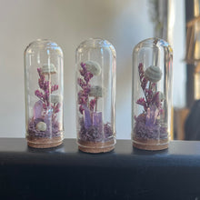 Load image into Gallery viewer, Crystal Fairy Garden Glass Terrarium
