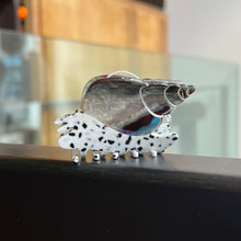 Load image into Gallery viewer, Spotted Whelk Shell Hair Claw