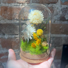 Load image into Gallery viewer, “Honey Glow” Botanical Glass Terrarium