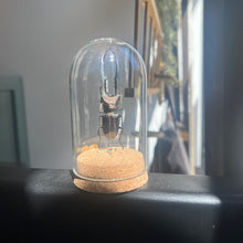 Load image into Gallery viewer, Large Insect Dome