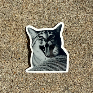 Silly Kitty Stickers