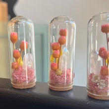 Load image into Gallery viewer, Crystal Fairy Garden Glass Terrarium