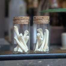 Load image into Gallery viewer, Otter Bones - Small Vial