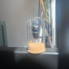 Load image into Gallery viewer, Large Insect Dome