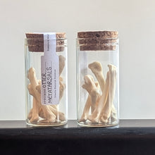 Load image into Gallery viewer, Otter Bones - Small Vial