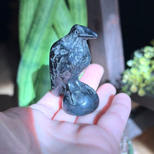 Load image into Gallery viewer, Black Obsidian Carved Raven