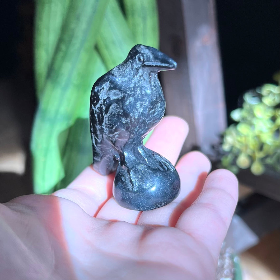 Black Obsidian Carved Raven