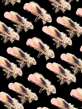 Load image into Gallery viewer, Lice Hair Clip