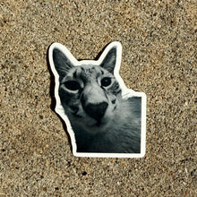 Load image into Gallery viewer, Silly Kitty Stickers