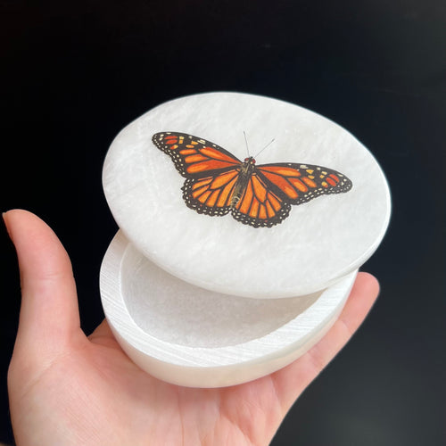 Monarch Butterfly Box
