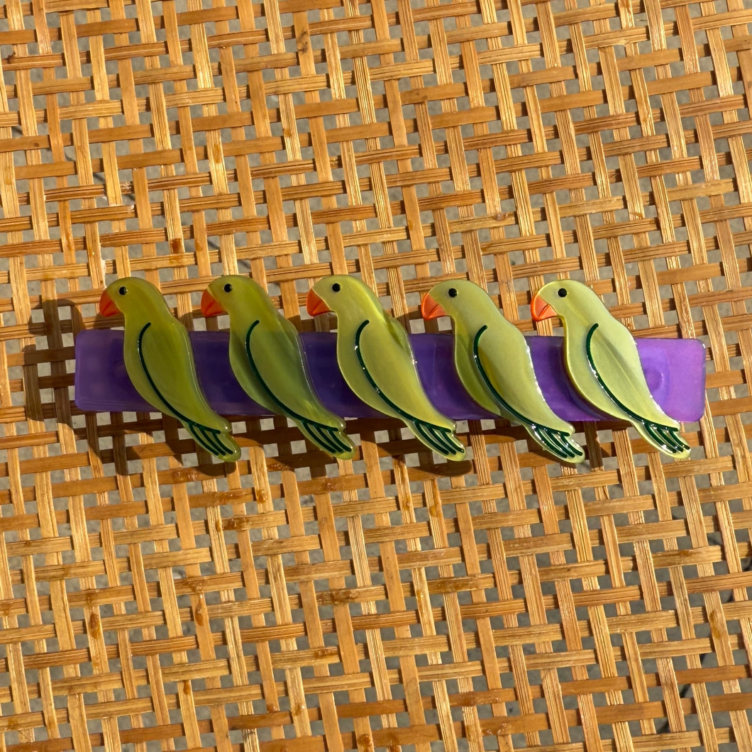 Pasadena Parrots Barrette