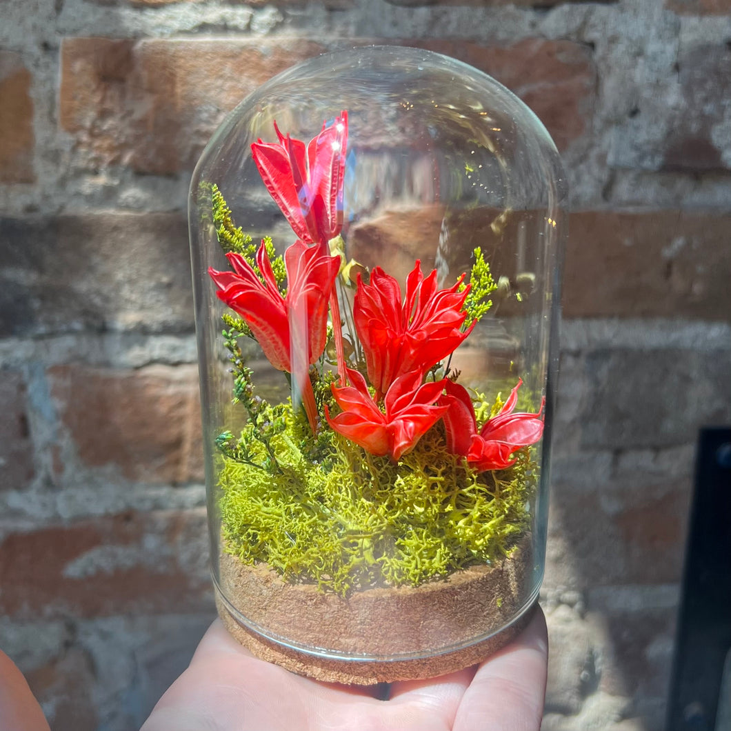 “Love Potion” Botanical Glass Terrarium