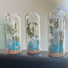 Load image into Gallery viewer, Crystal Fairy Garden Glass Terrarium