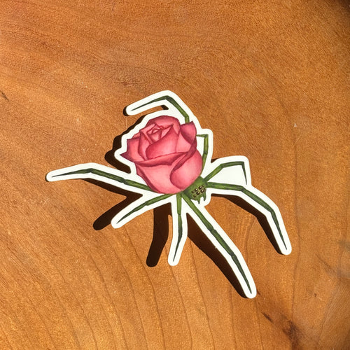 Spider Rose Sticker