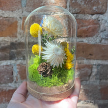 Load image into Gallery viewer, “Honey Glow” Botanical Glass Terrarium