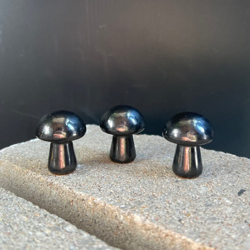 Shungite Mushroom