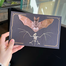 Load image into Gallery viewer, Bat &amp; Bat Skeleton Paper Replica Set
