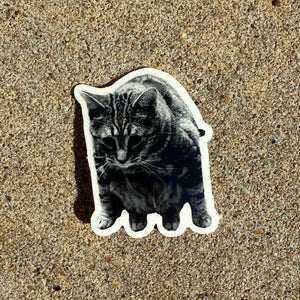 Silly Kitty Stickers