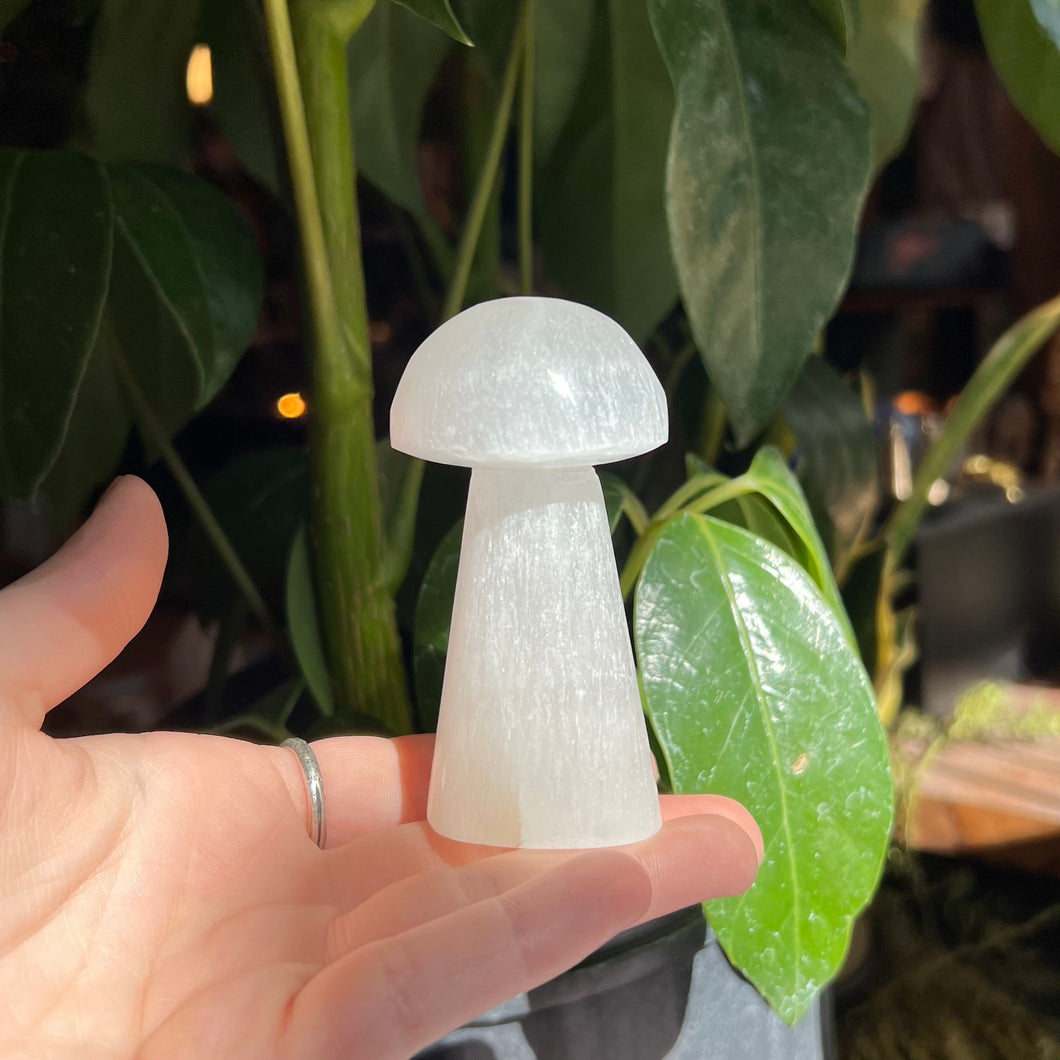 Selenite Mushroom