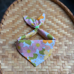Punchy Cat Pet Bandanas