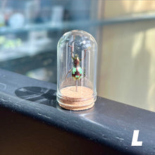 Load image into Gallery viewer, Mini Insect Dome