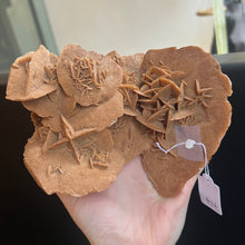Load image into Gallery viewer, Barite Selenite Rose Formation
