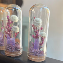 Load image into Gallery viewer, Crystal Fairy Garden Glass Terrarium