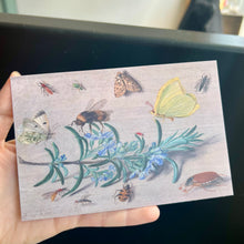 Load image into Gallery viewer, Bugs with Sprig Postcard