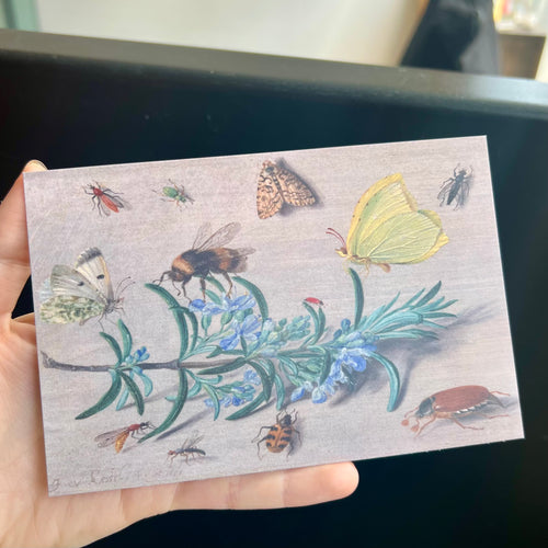 Bugs with Sprig Postcard