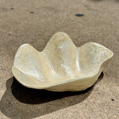 Clam Shaped Ivory Capiz Bowl