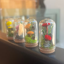 Load image into Gallery viewer, Meadow Fields Glass Terrarium