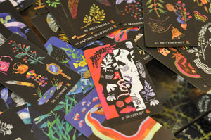 Dirt Gems Oracle Deck + Guidebook