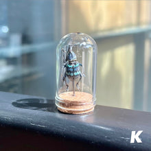 Load image into Gallery viewer, Mini Insect Dome