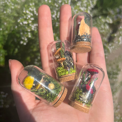 Meadow Fields Glass Terrarium