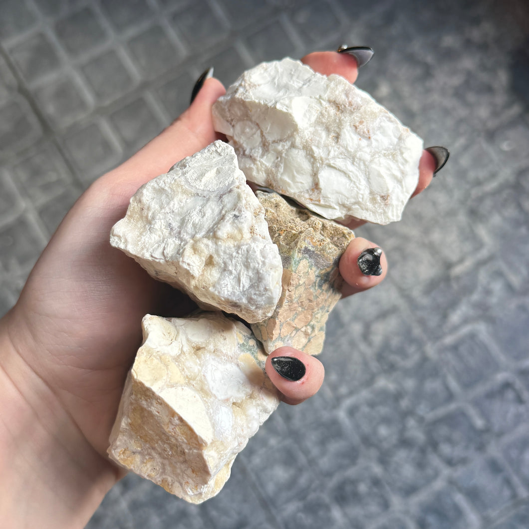 Spotted Agate Conglomerate - Rough