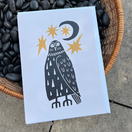 Owl Medicine Greeting Card