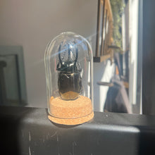Load image into Gallery viewer, Large Insect Dome