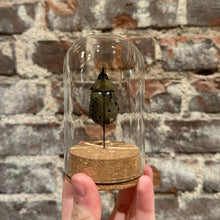Load image into Gallery viewer, Large Insect Dome