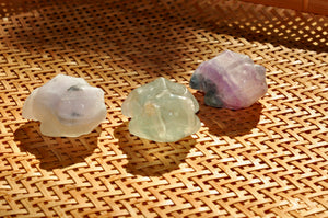 Fluorite Frog