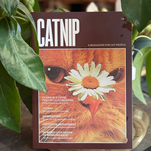 Catnip Magazine