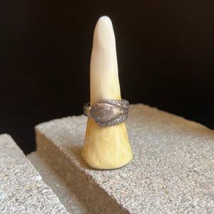 Spoon Ring I - size 7.5